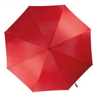Automatic umbrella