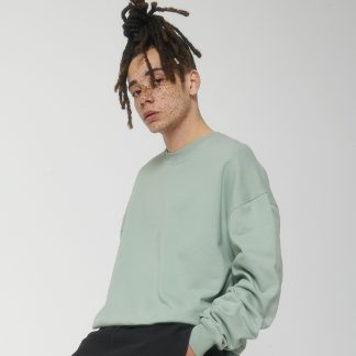 Unisex Ledger dry sweatshirt (STSU798)